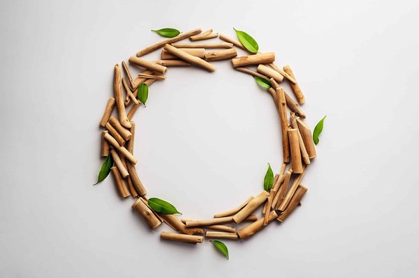 Quels sont les petits gestes pour préserver l'eau en jardinant ?